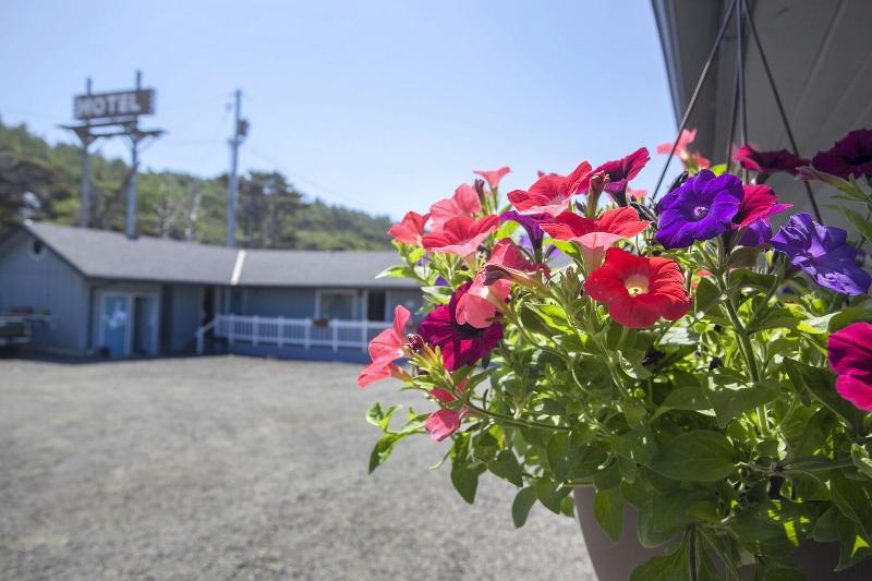 فندق صغير Moolack Shores Inn