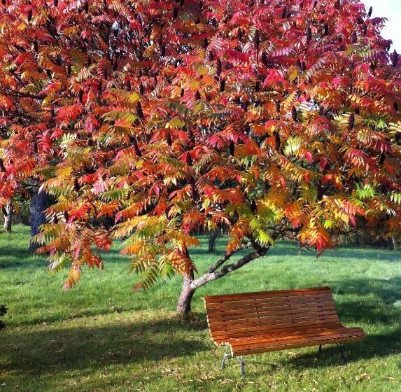 住宿加早餐  Bluets Et Brimbelles