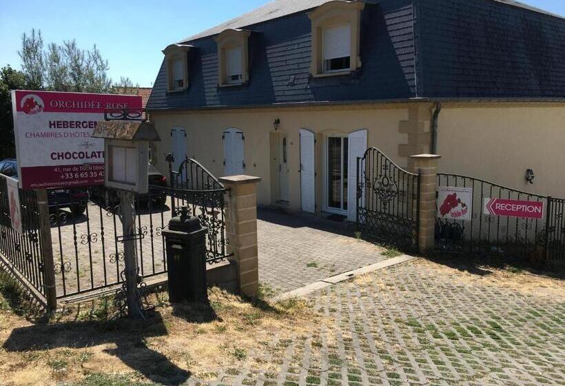 住宿加早餐  Orchidee Rose