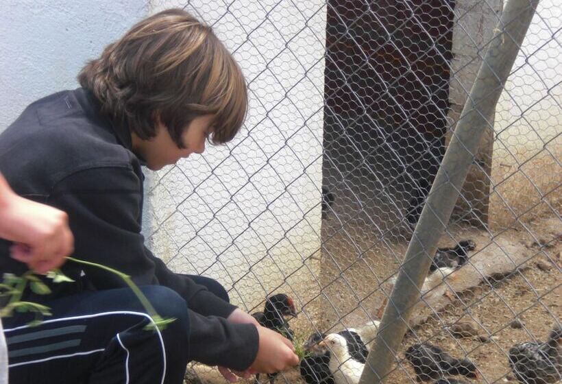 ペンション Complejo Recreativo Baños Del Sagrario