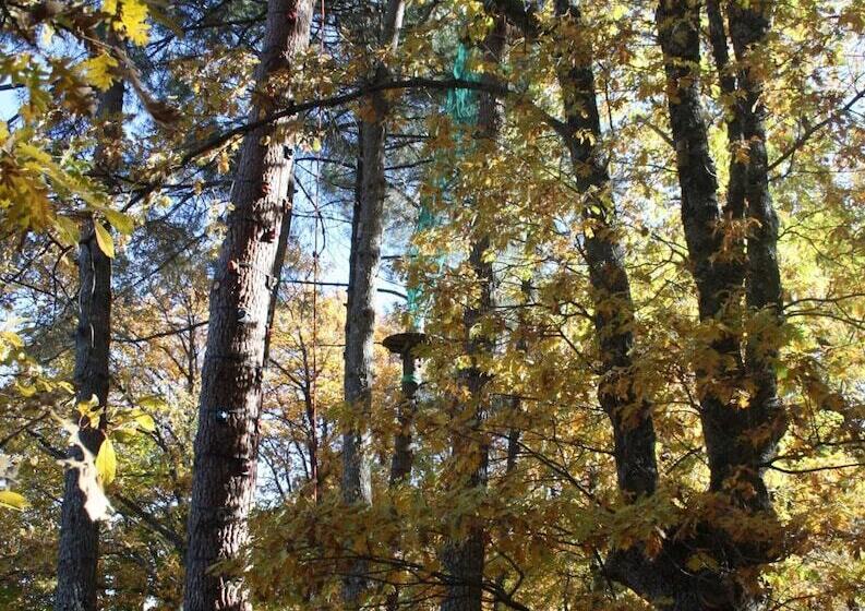 ペンション Complejo Recreativo Baños Del Sagrario