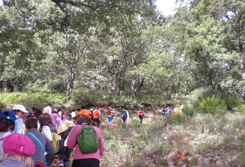 ペンション Complejo Recreativo Baños Del Sagrario