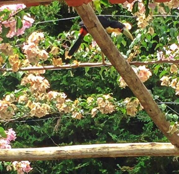 Пансион Chalé Recanto Sonho Meu