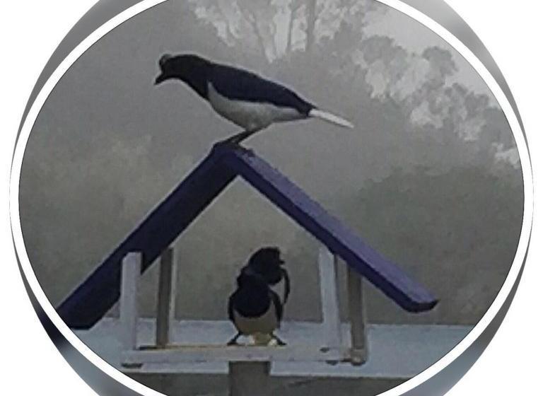 Пансион Chalé Recanto Sonho Meu