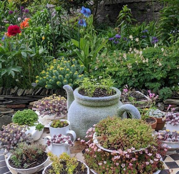 Pensjonat Drumfearne Guesthouse & Tearoom