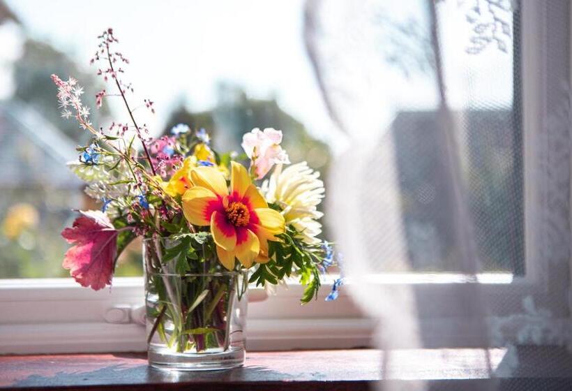 Pensjonat Drumfearne Guesthouse & Tearoom