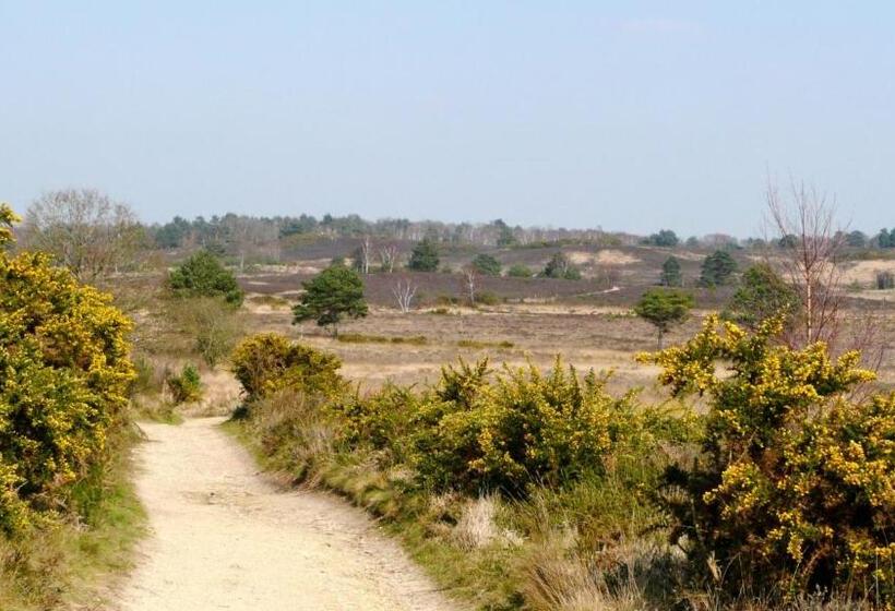 بنسيون Fornham Guest House