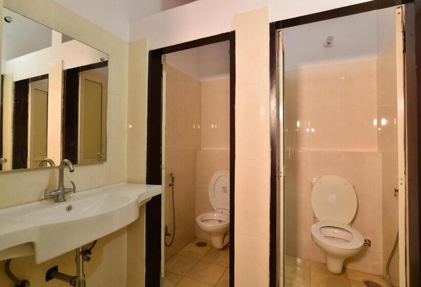 Общежитие Gypsy Monkey