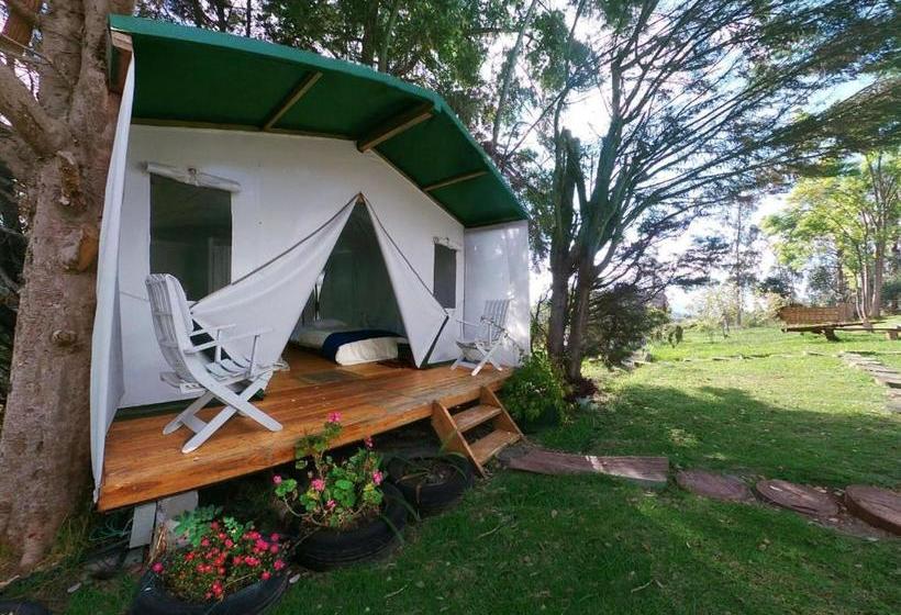 ユースホステル Samay Glamping Airport