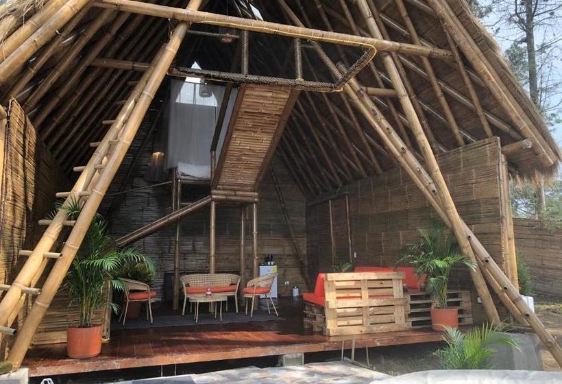 ユースホステル Samay Glamping Airport