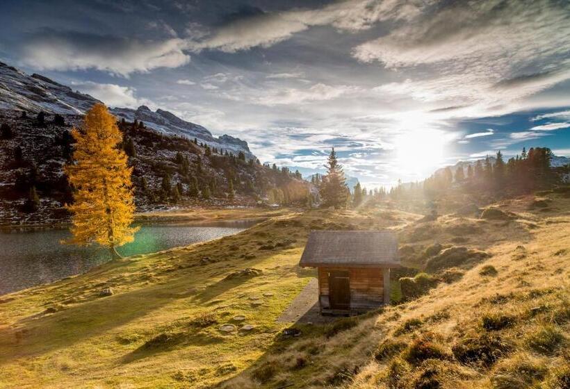 Общежитие Terrasse Nessental