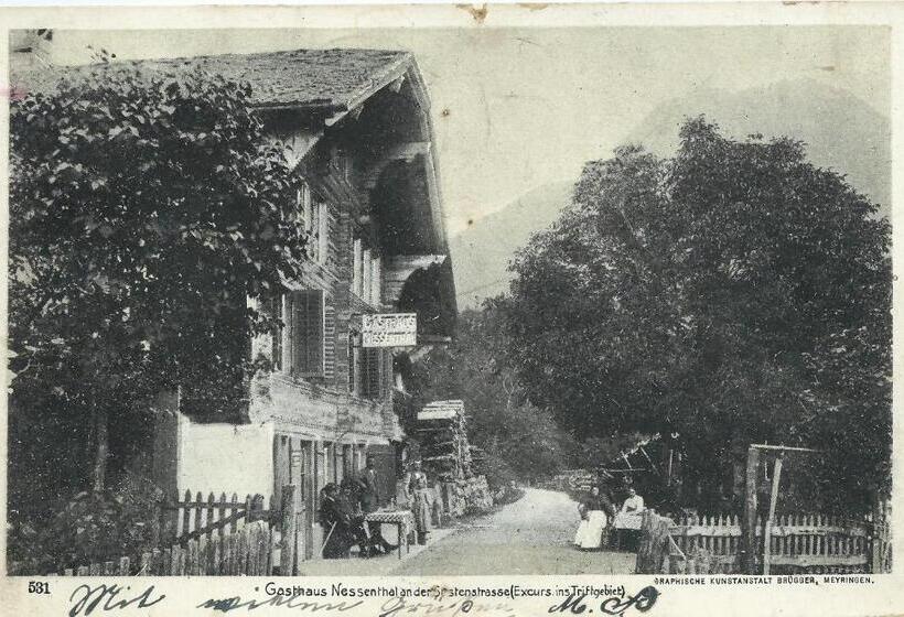 Общежитие Terrasse Nessental