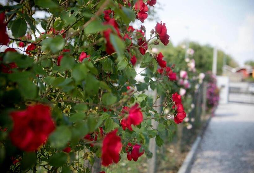 مبيت وإفطار La Casa Di Amedeo