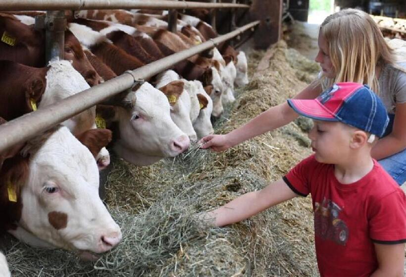 ホテル Ferienbauernhof Schuler