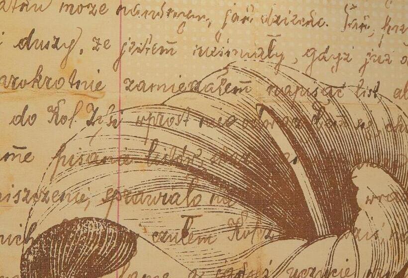 膳宿费 Hostal Boutique Doña Carmen   Adults Recommended