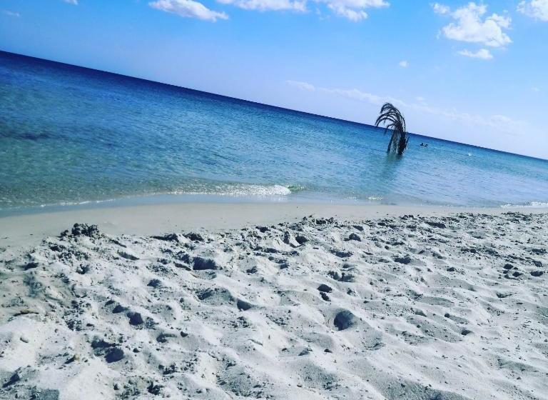 膳宿费 L'hirondelle De Kelibia : Chez Amou