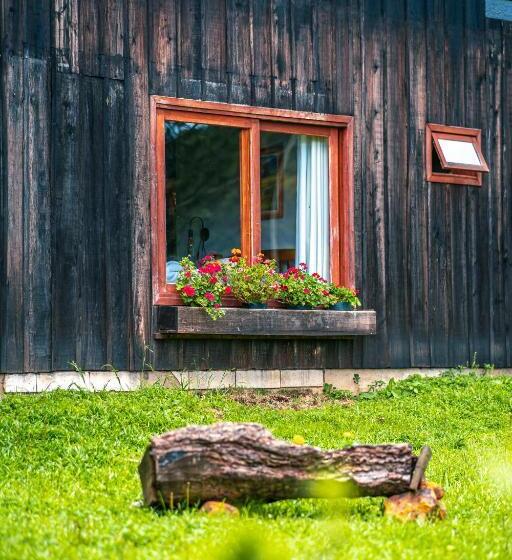 פנסיון Pousada Rural Vista Alegre