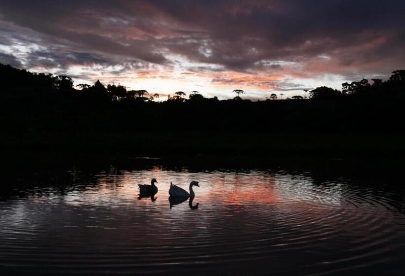 بنسيون Pousada Rural Vista Alegre