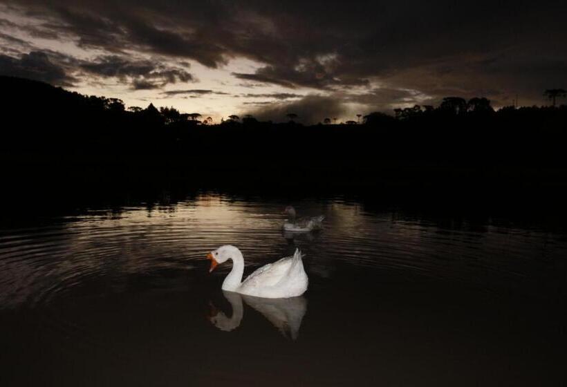 פנסיון Pousada Rural Vista Alegre