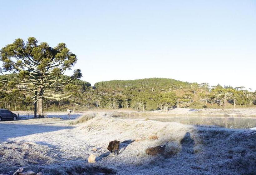 بنسيون Pousada Rural Vista Alegre