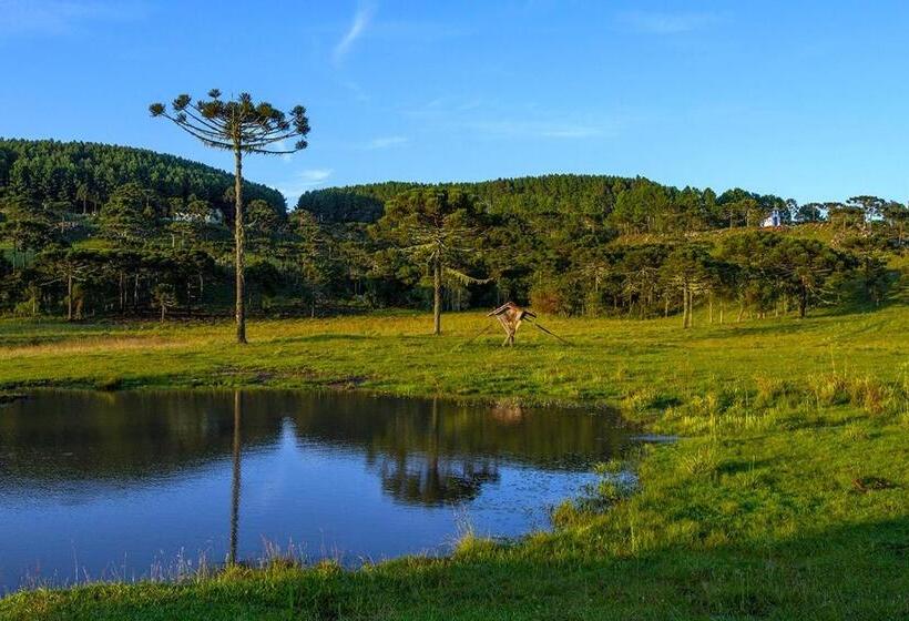 פנסיון Pousada Rural Vista Alegre