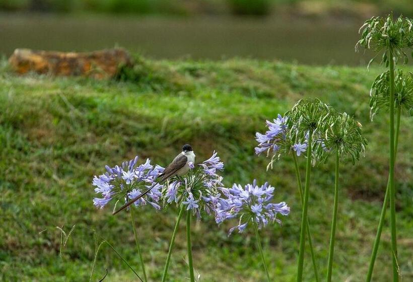 بنسيون Pousada Rural Vista Alegre