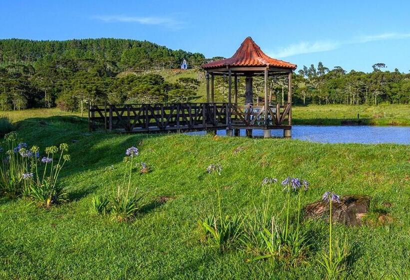 بنسيون Pousada Rural Vista Alegre