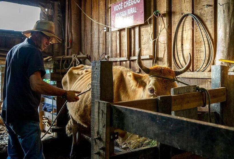 بنسيون Pousada Rural Vista Alegre