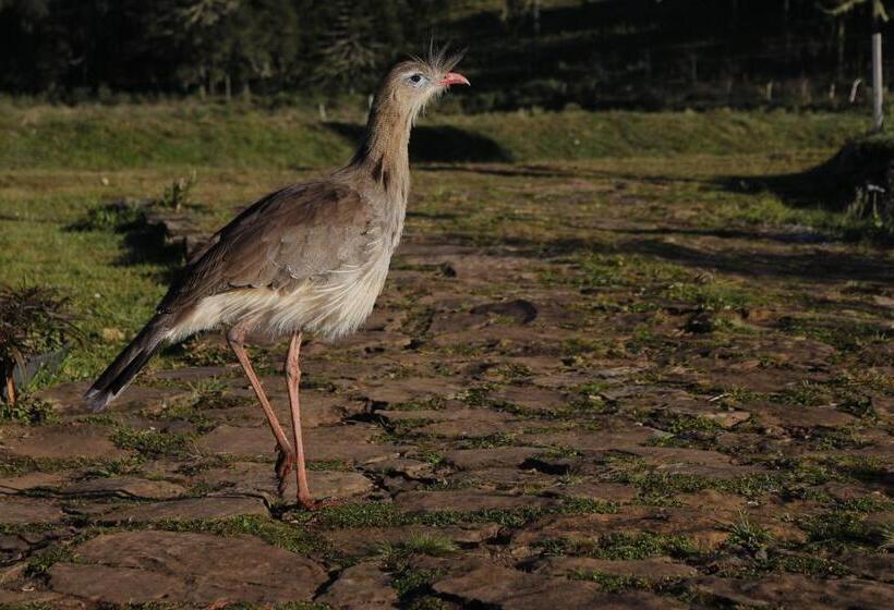 بنسيون Pousada Rural Vista Alegre