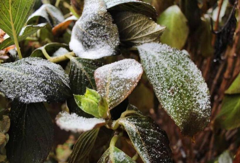 פנסיון Pousada Rural Vista Alegre