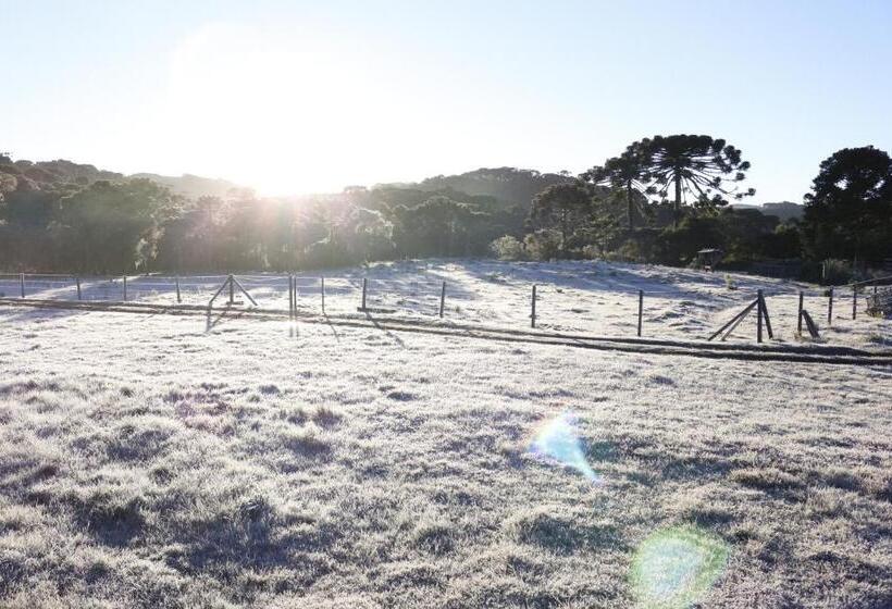 פנסיון Pousada Rural Vista Alegre