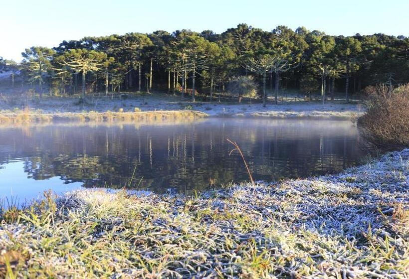 بنسيون Pousada Rural Vista Alegre