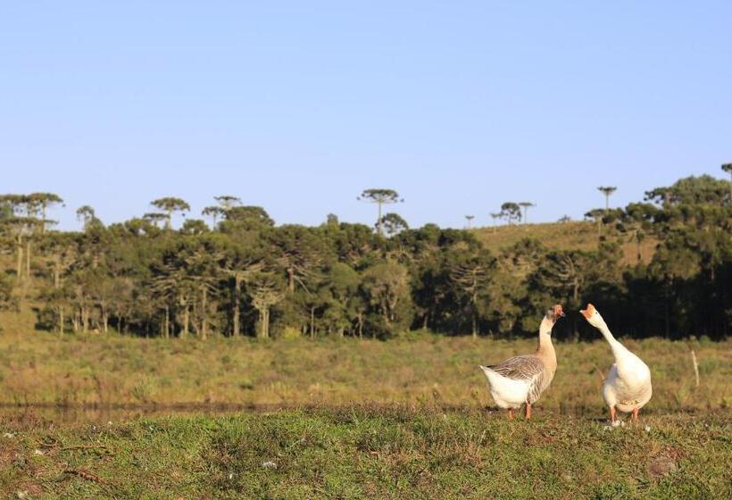 بنسيون Pousada Rural Vista Alegre