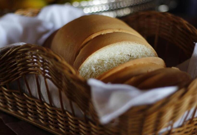 بنسيون Pousada Rural Vista Alegre