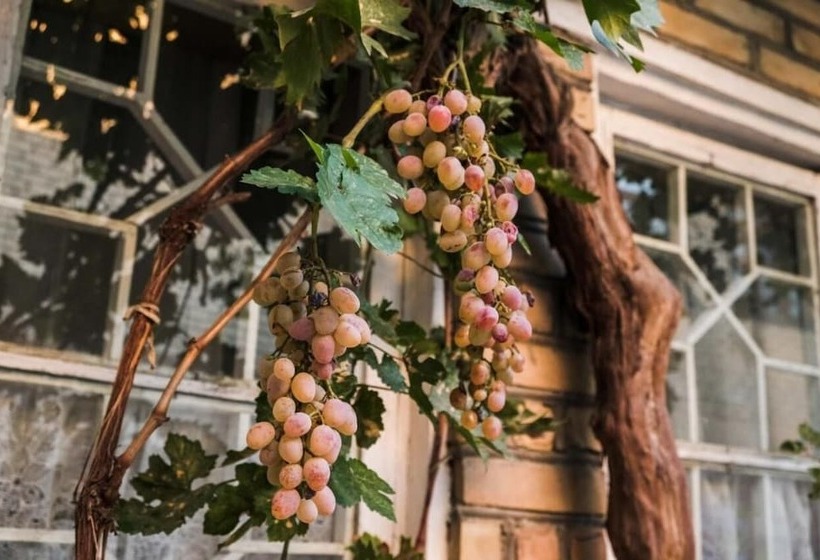 פנסיון Umarxon