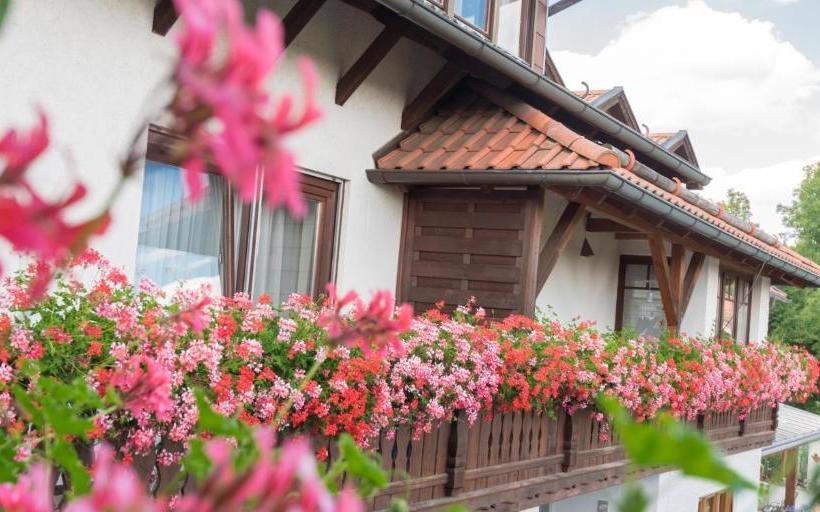 Pension Zum Ebenstein Am Donausteig