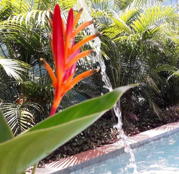 Bed and Breakfast Jasmimanga Pousada