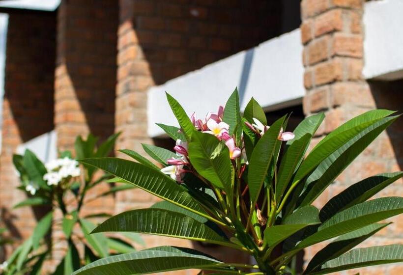 Bed and Breakfast Jasmimanga Pousada