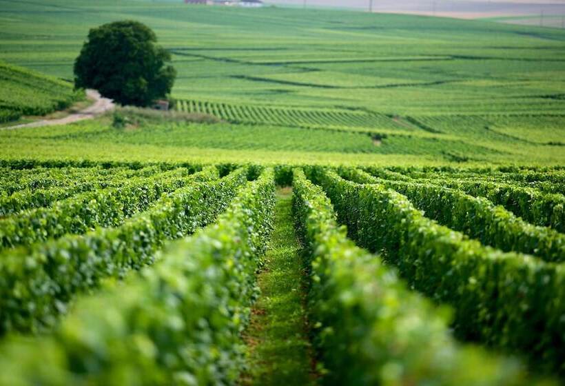 בית מלון כפרי Les Tonnelles