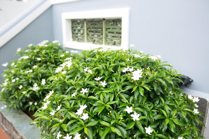 هتل Yen Villa Hoi An