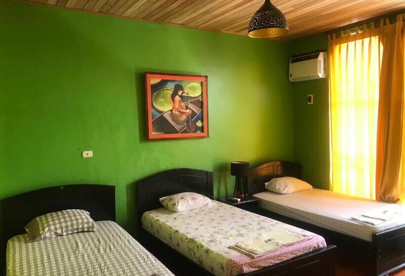 פנסיון Amazon Dream Hostel With Ac And Starlink