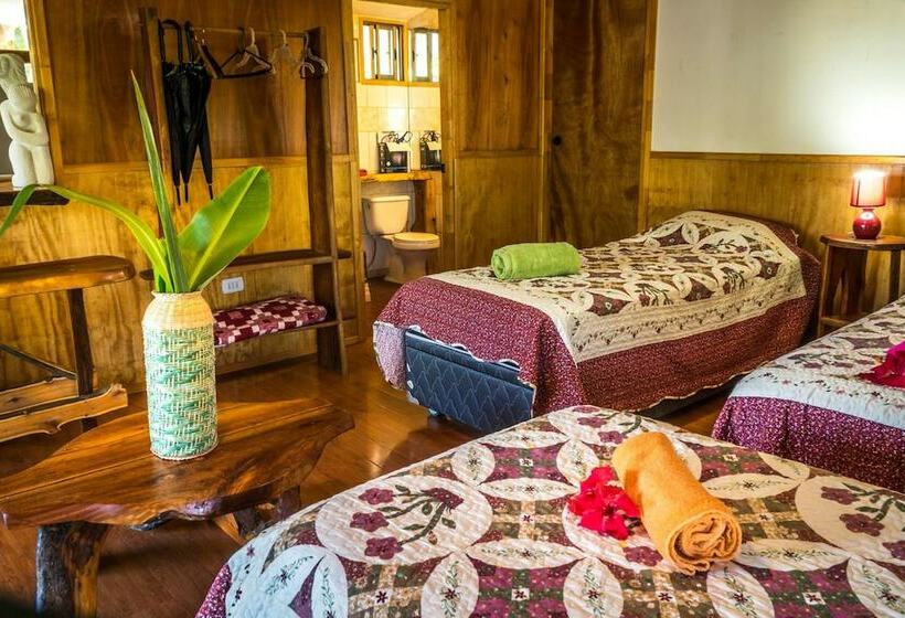 פנסיון Cabañas Vaimihi