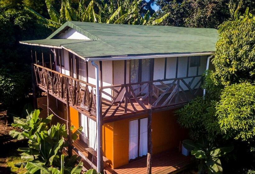 פנסיון Cabañas Vaimihi