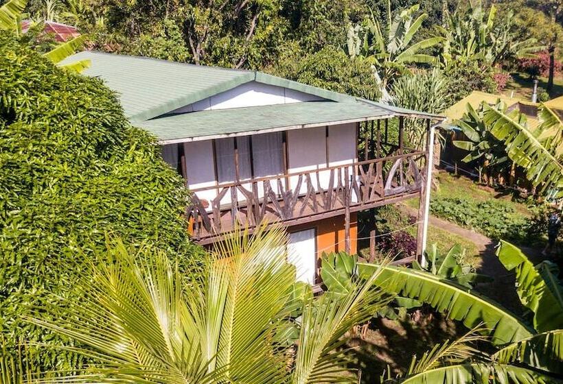 פנסיון Cabañas Vaimihi