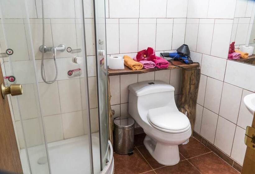 פנסיון Cabañas Vaimihi