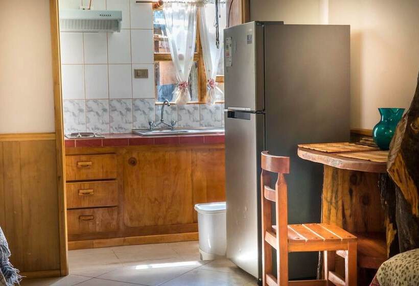 פנסיון Cabañas Vaimihi