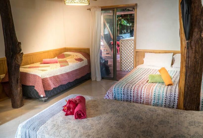 פנסיון Cabañas Vaimihi