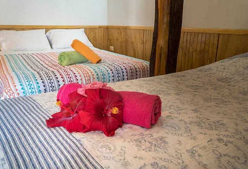 פנסיון Cabañas Vaimihi