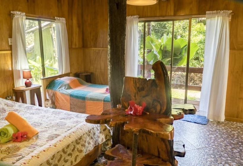 פנסיון Cabañas Vaimihi