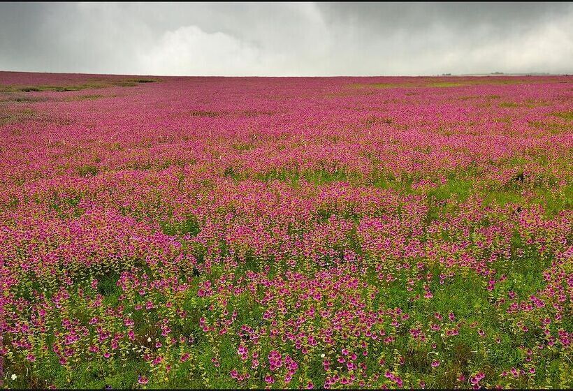فندق Maharaja Regency